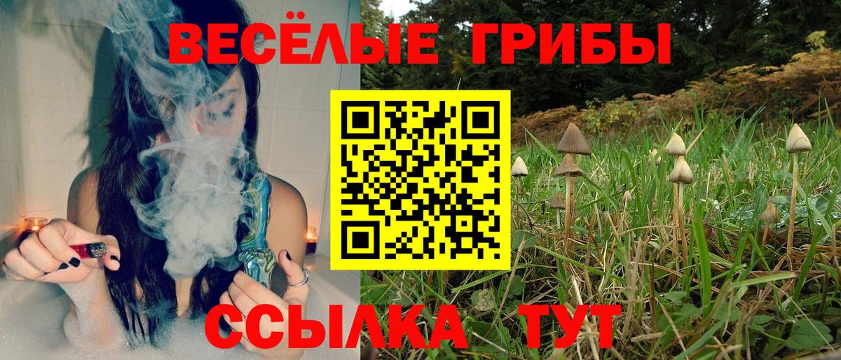 Псилоцибиновые грибы Magic Shrooms Трёхгорный